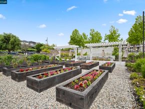 7195 Calistoga Ln, Dublin CA 94568