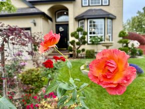 1284 Riesling Cir, Livermore CA 94550