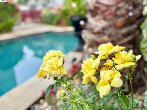 1284 Riesling Cir, Livermore CA 94550
