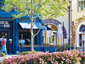 1000 Dewing Ave 210, Lafayette CA 94549