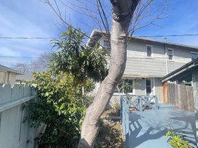 318 Cypress St D, Alameda CA 94501