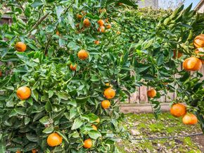 2128 Alexander Way, Pleasanton CA 94588