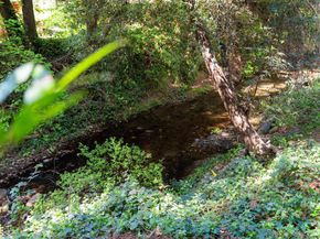 15765 Kings Creek Rd, Boulder Creek CA 95006