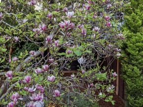 5416 GOLDEN GATE Ave, Oakland CA 94618