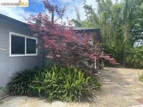 5849 Mitchell Canyon Ct, Clayton CA 94517