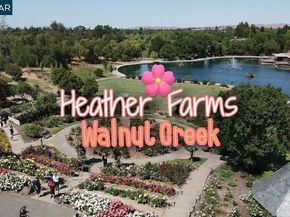1960 Pomar Way, Walnut Creek CA 94598