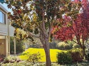 2057 Golden Rain Rd 4, Walnut Creek CA 94595