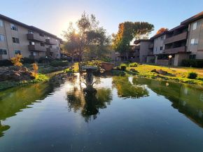 1321 Webster St D119, Alameda CA 94501