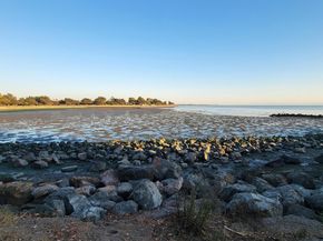 1321 Webster St D119, Alameda CA 94501