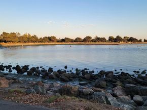 1321 Webster St D119, Alameda CA 94501