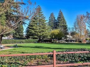 20 Serene Ct, Danville CA 94526
