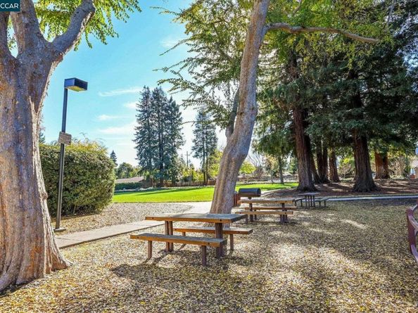 20 Serene Ct, Danville CA 94526