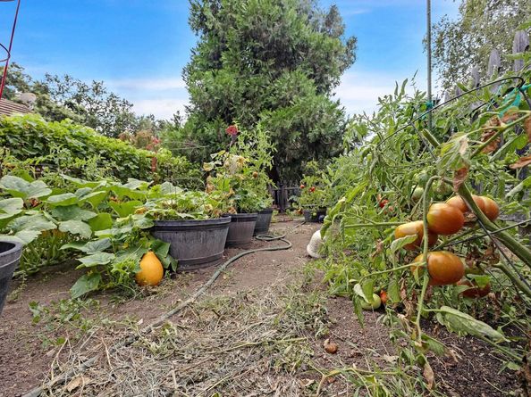 6745 Alisal St, Pleasanton CA 94566
