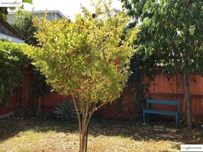 3712 Patterson AVE, Oakland CA 94619