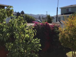 3712 Patterson AVE, Oakland CA 94619