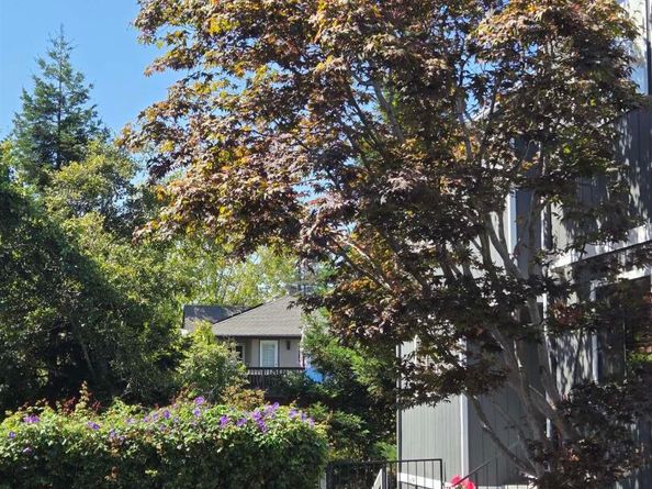 3687 Maple Ave 9, Oakland CA 94602
