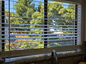 3687 Maple Ave 9, Oakland CA 94602