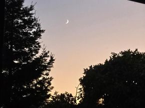 3687 Maple Ave 9, Oakland CA 94602