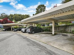 805 Red Leaf Court, San Francisco CA 94134