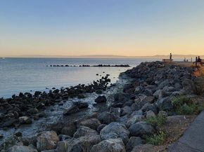 1321 Webster St D119, Alameda CA 94501