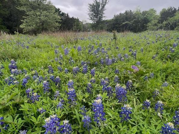 10214 Bilbrook PL, Austin TX 78748