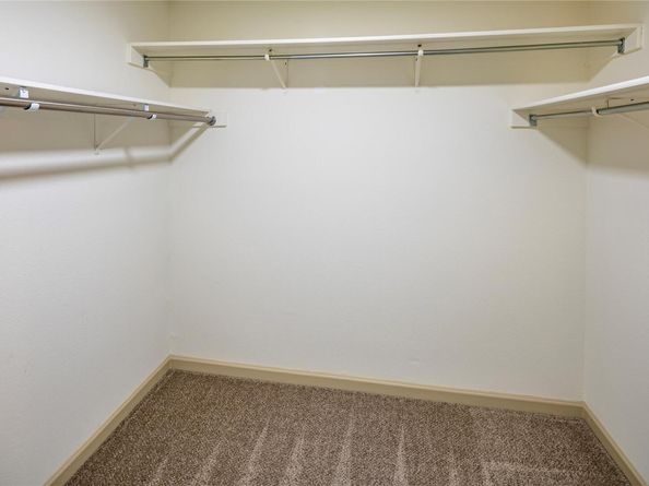 1724 Barrilla ST, Cedar Park TX 78613