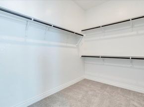 1533 Jay Wolf DR, Georgetown TX 78628