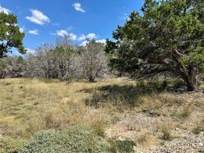 21806 O Henry Ave, Lago Vista TX 78645