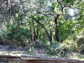 7607 Williamson Creek Drive DR, Austin TX 78736