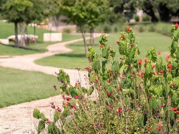 1540 Jolie Rose BND, Leander TX 78641