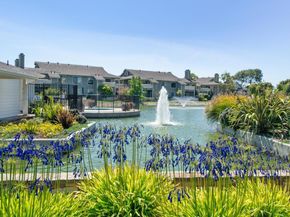 243 Shoreline Court, Richmond CA 94804