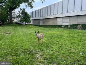 8419 Wesleyan Street, Vienna VA 22180