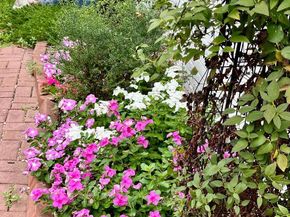 719 Gibbon Street, Alexandria VA 22314