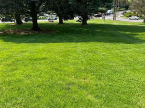 7900 Old York Road 208B, Elkins Park PA 19027