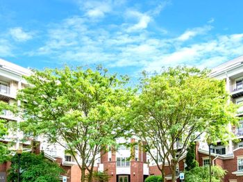 1645 International Drive