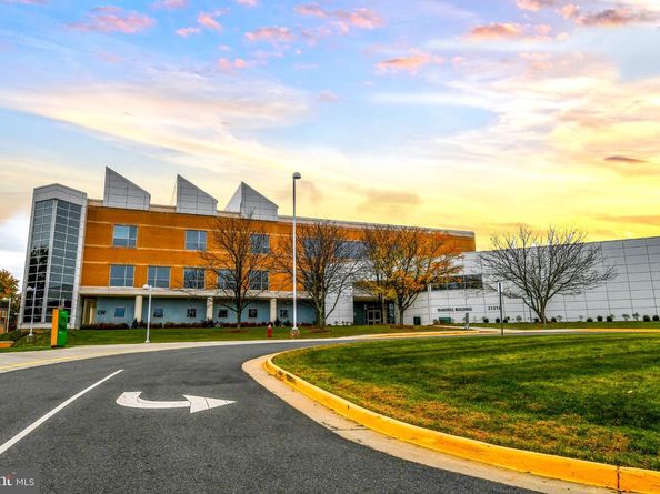 46699 Paragon Terrace, Sterling VA 20164