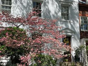 805 Green Street, Alexandria VA 22314