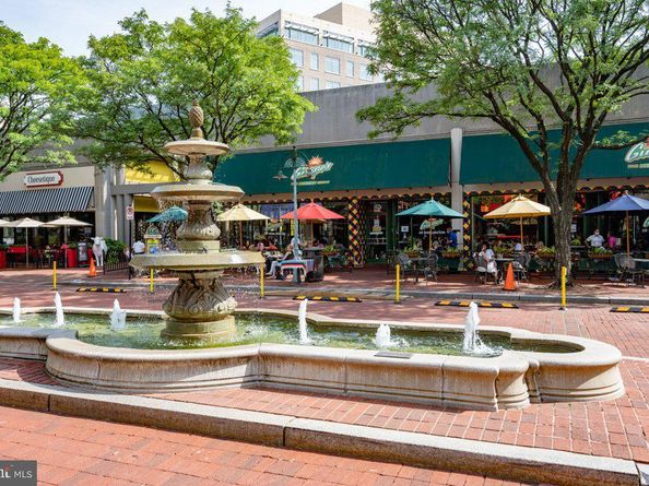 2949 S Columbus Street A2, Arlington VA 22206