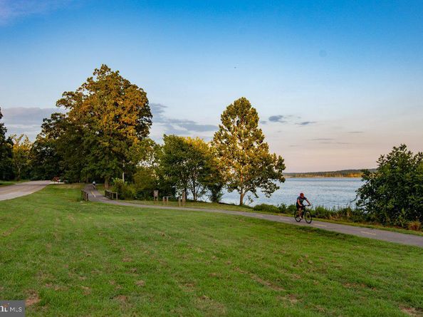 2949 S Columbus Street A2, Arlington VA 22206