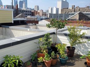 605 N 12TH Street B, Philadelphia PA 19123