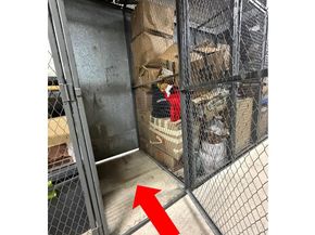 3705 S George Mason Drive 1811S, Falls Church VA 22041