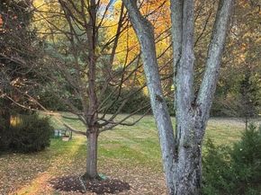 1827 Beulah Road, Vienna VA 22182