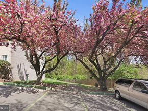 5017 7TH Road S 102, Arlington VA 22204
