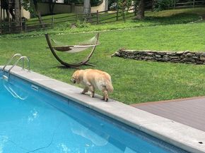 241 Cheswold Lane, Haverford PA 19041