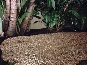 2611 NE 53rd St, Lighthouse Point FL 33064