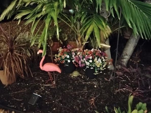 2611 NE 53rd St, Lighthouse Point FL 33064