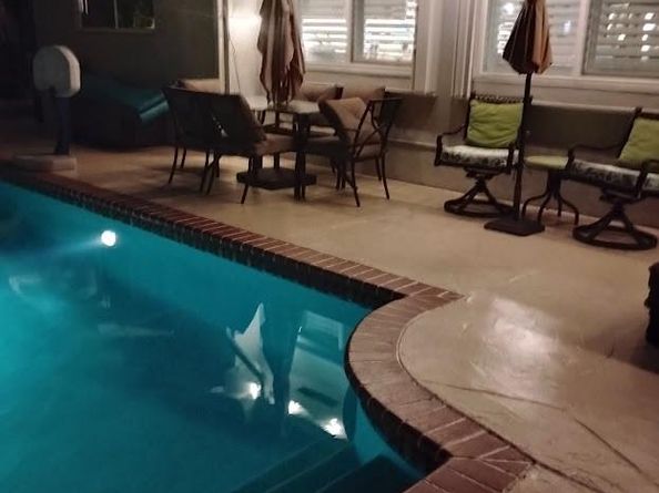 2611 NE 53rd St, Lighthouse Point FL 33064