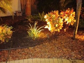 2611 NE 53rd St, Lighthouse Point FL 33064