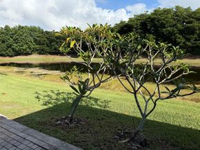 1954 Andromeda Ln, Weston FL 33327