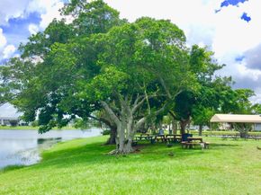 326 Camden N, West Palm Beach FL 33417